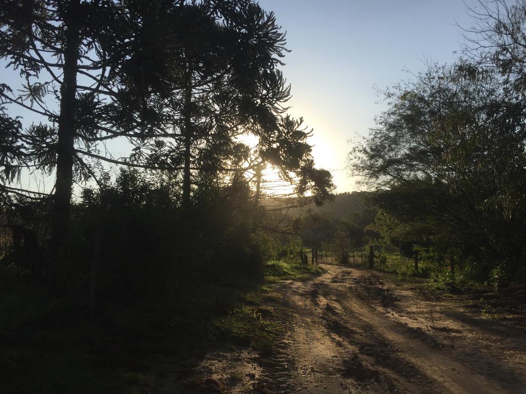 Hospedagem Fazenda Nova America ブロタス エクステリア 写真